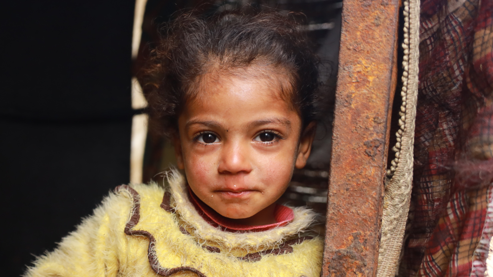 TWIN WITH A FAMILY IN GAZA