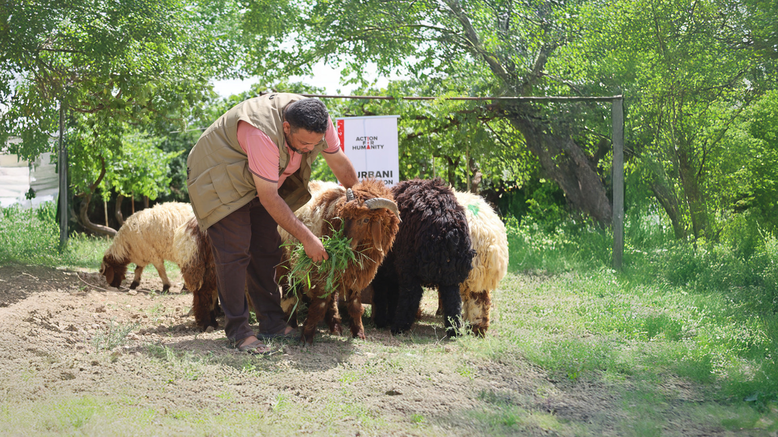 GIVE YOUR QURBANI