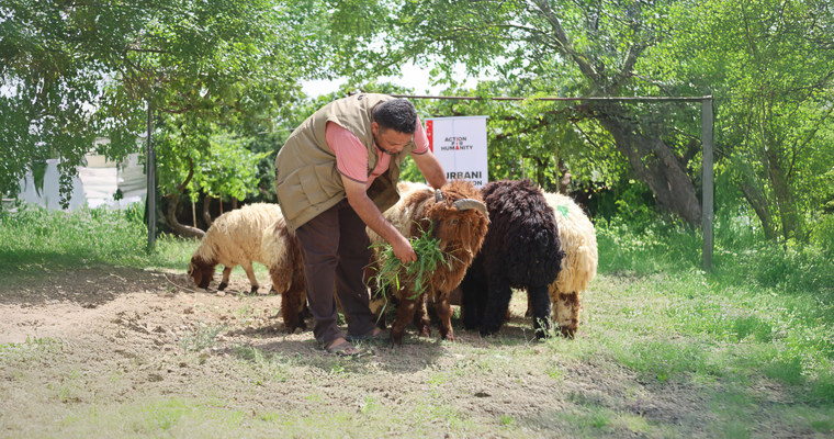 qurbanicover
