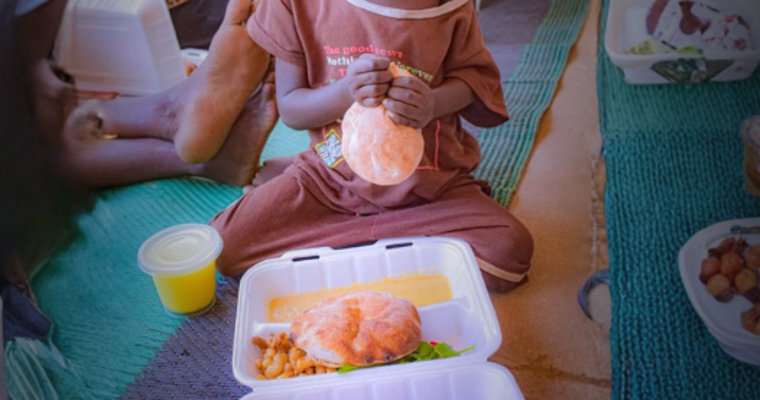 Sudan Emergency Appeal