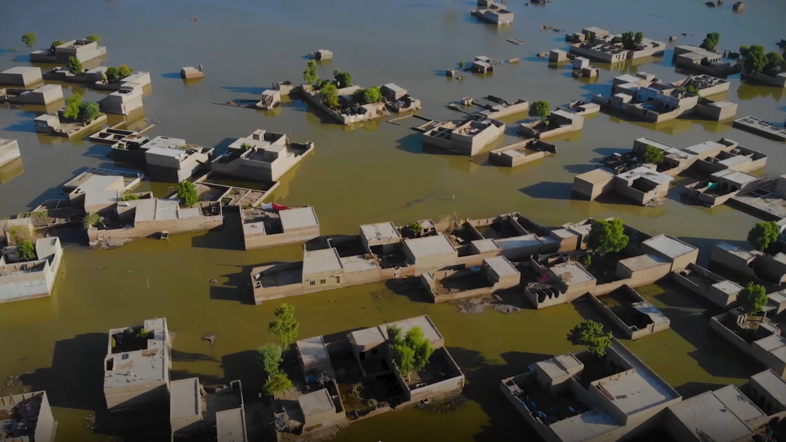 Pakistan Floods Appeal