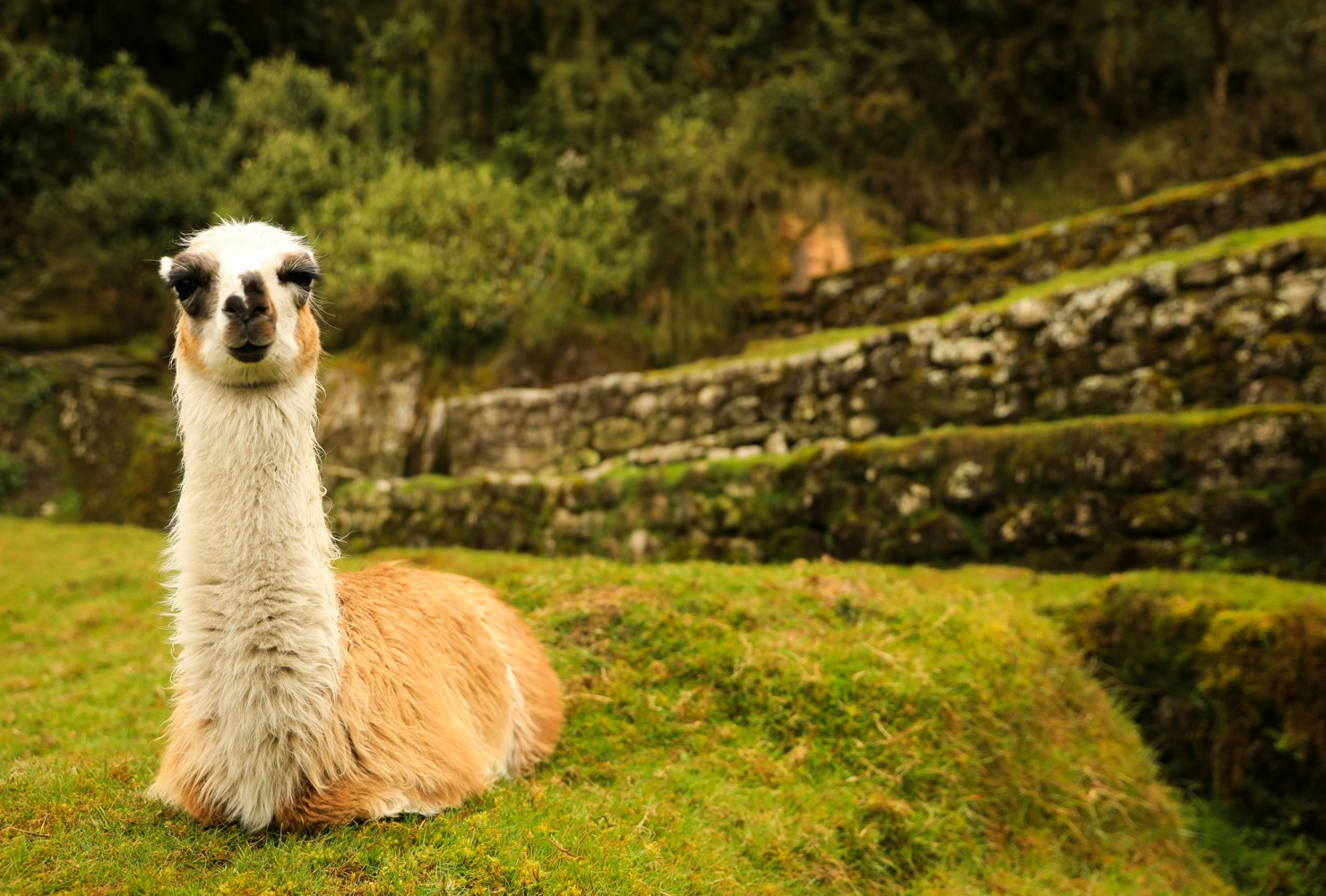 Hello from the Andes!