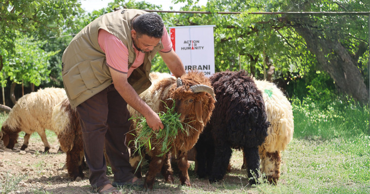Qurbani