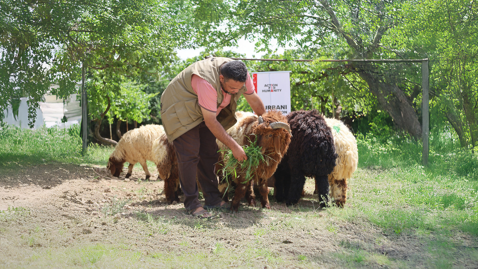 qurbani