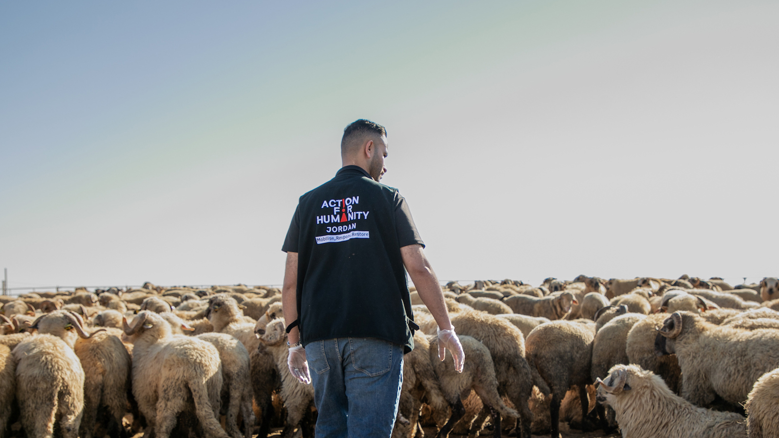 Qurbani Feedback