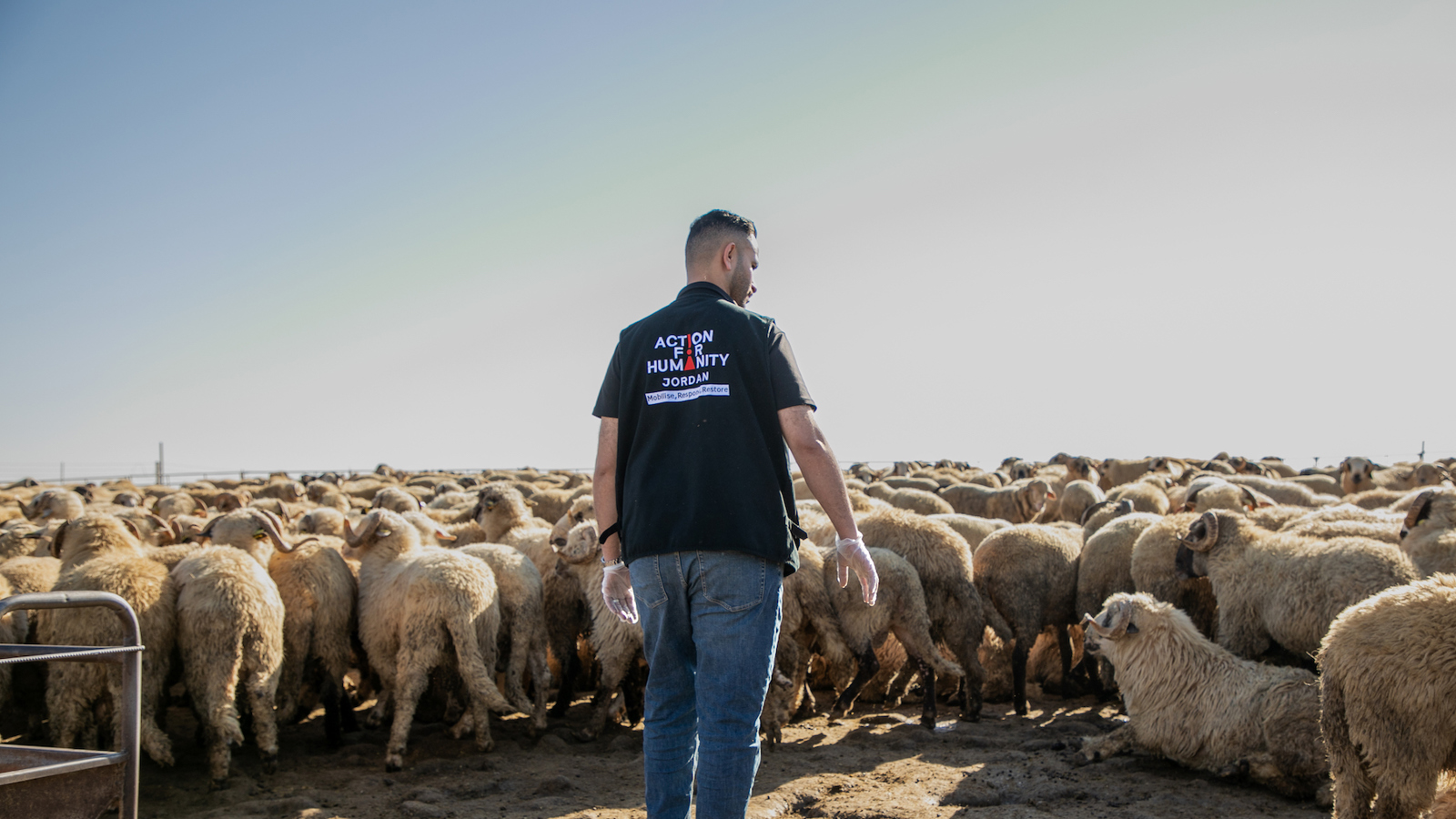 jordanqurbani1