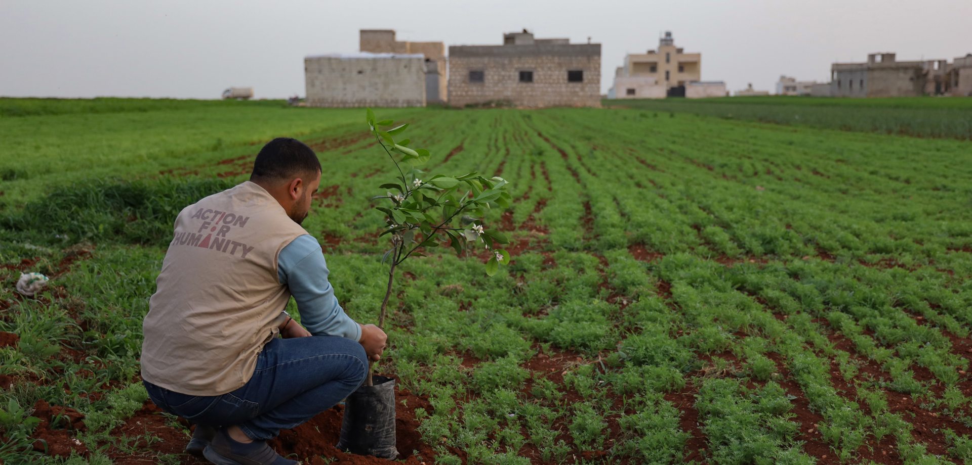 syria