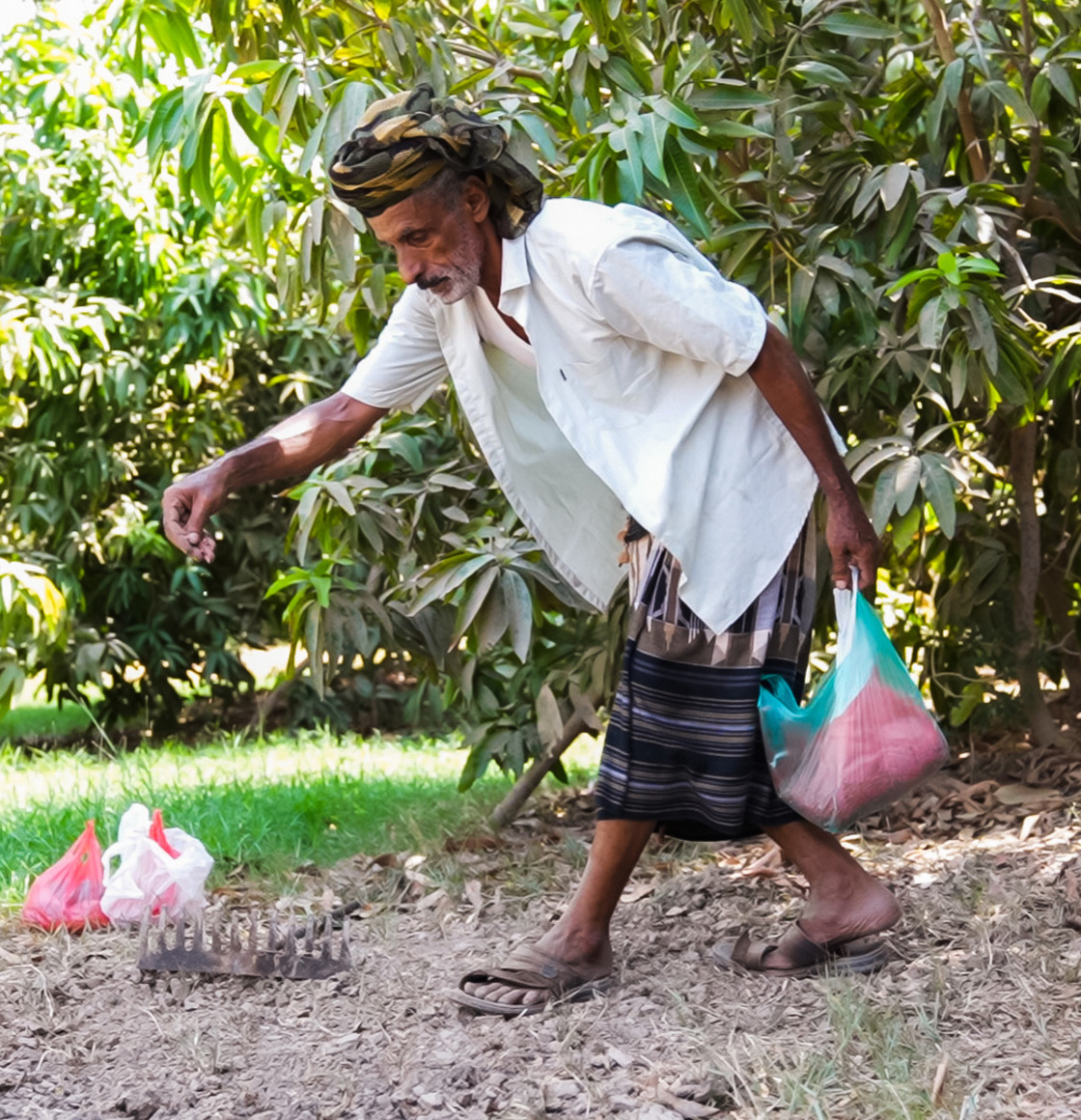 yemenfarmer