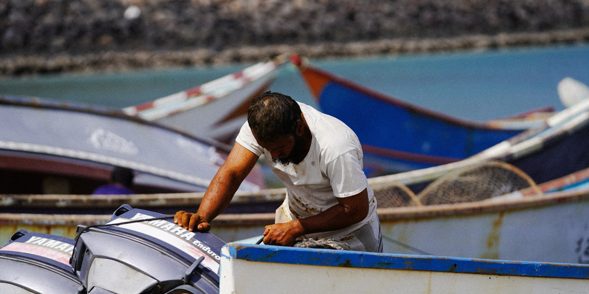 Livelihoods