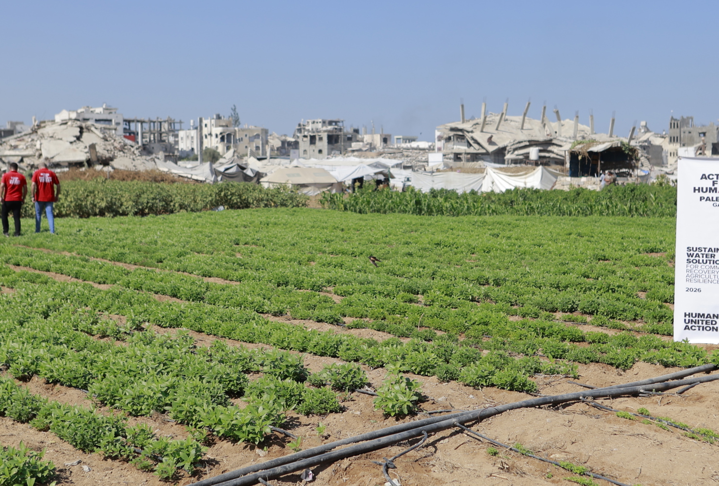 Restoring Clean Water and Livelihoods in Gaza