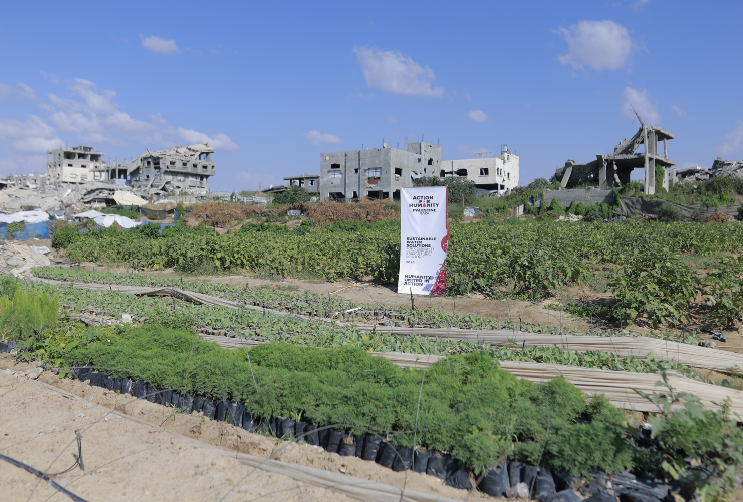 Restoring Clean Water and Livelihoods in Gaza